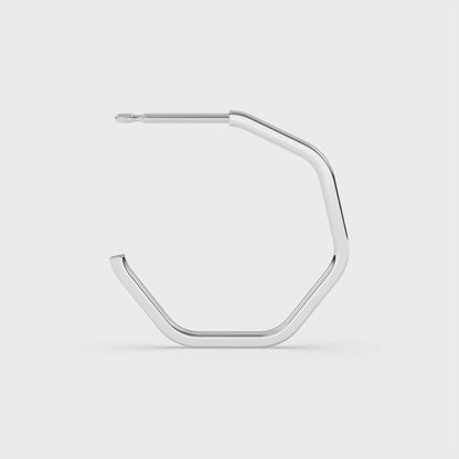 20p Earrings